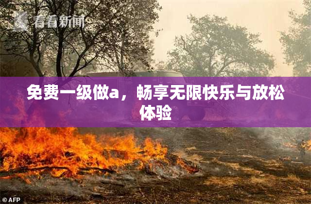 免费一级做a，畅享无限快乐与放松体验