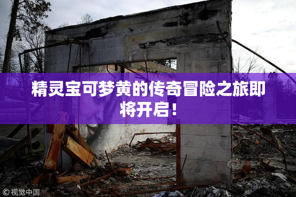 精灵宝可梦黄的传奇冒险之旅即将开启！