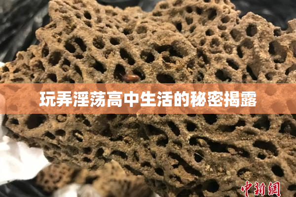 玩弄淫荡高中生活的秘密揭露
