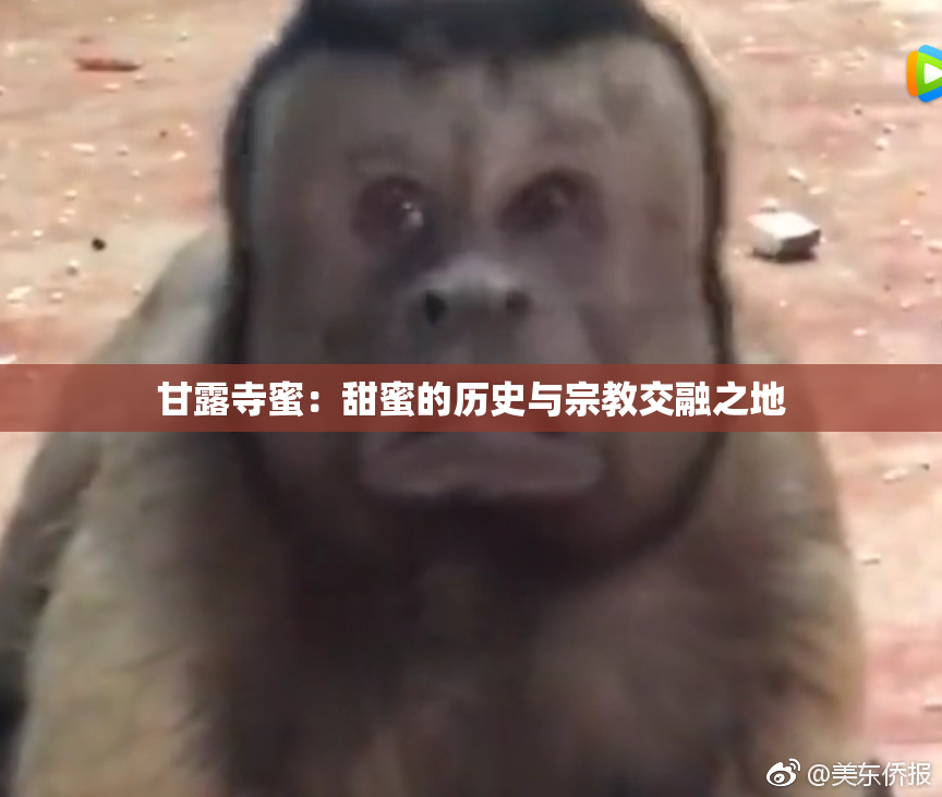 甘露寺蜜：甜蜜的历史与宗教交融之地