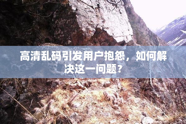 高清乱码引发用户抱怨，如何解决这一问题？