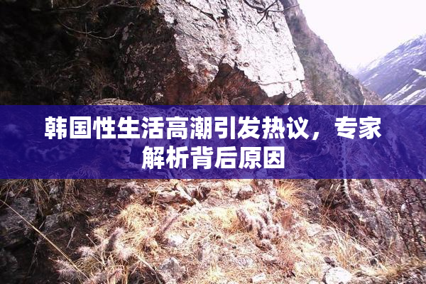 韩国性生活高潮引发热议，专家解析背后原因