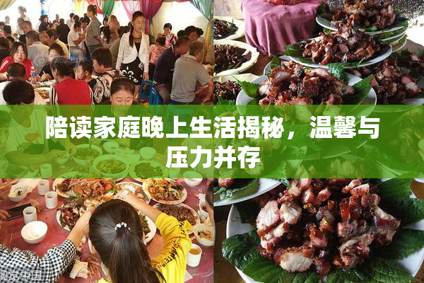 陪读家庭晚上生活揭秘，温馨与压力并存