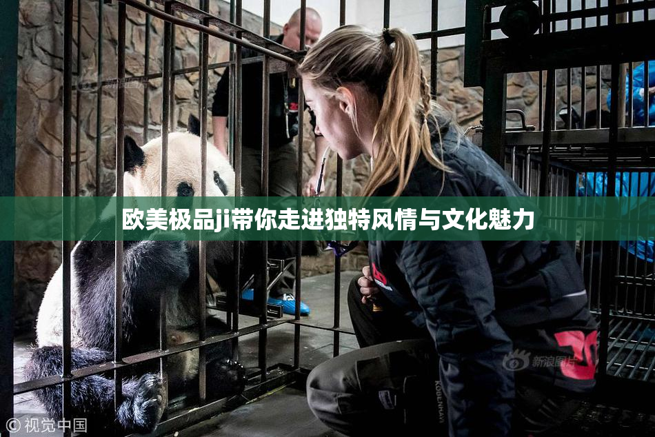 欧美极品ji带你走进独特风情与文化魅力