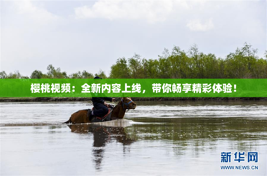 樱桃视频：全新内容上线，带你畅享精彩体验！