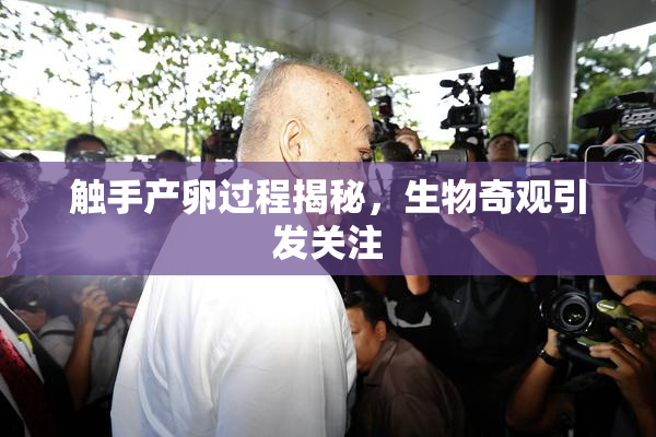 触手产卵过程揭秘，生物奇观引发关注