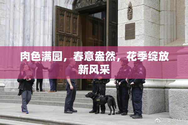 肉色满园，春意盎然，花季绽放新风采