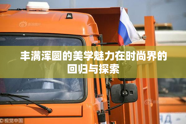 丰满浑圆的美学魅力在时尚界的回归与探索