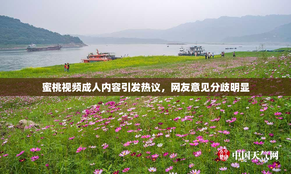 蜜桃视频成人内容引发热议，网友意见分歧明显