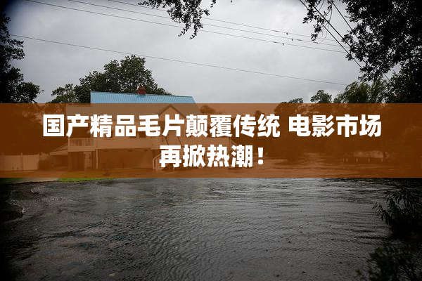 国产精品毛片颠覆传统 电影市场再掀热潮！