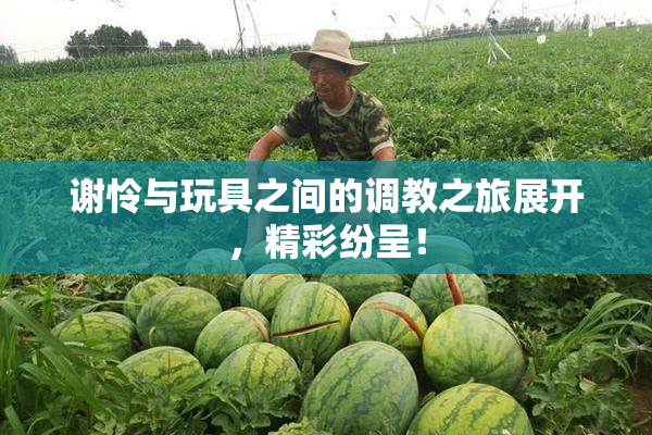 谢怜与玩具之间的调教之旅展开，精彩纷呈！