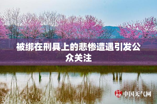 被绑在刑具上的悲惨遭遇引发公众关注