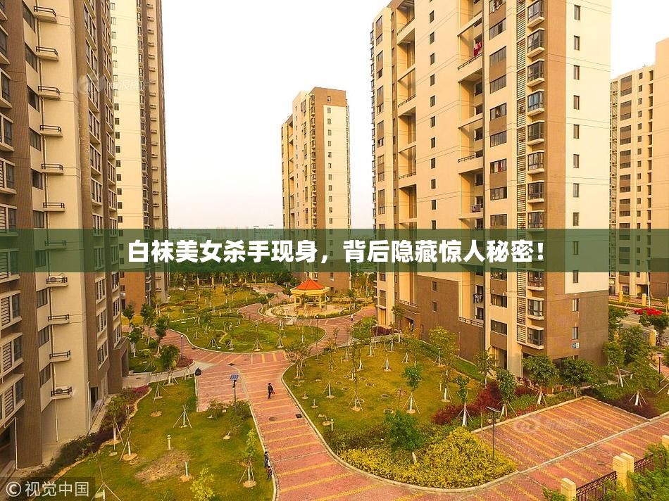 白袜美女杀手现身，背后隐藏惊人秘密！