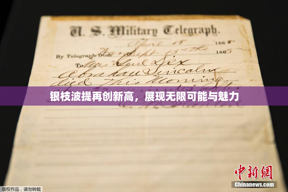 银枝波提再创新高，展现无限可能与魅力