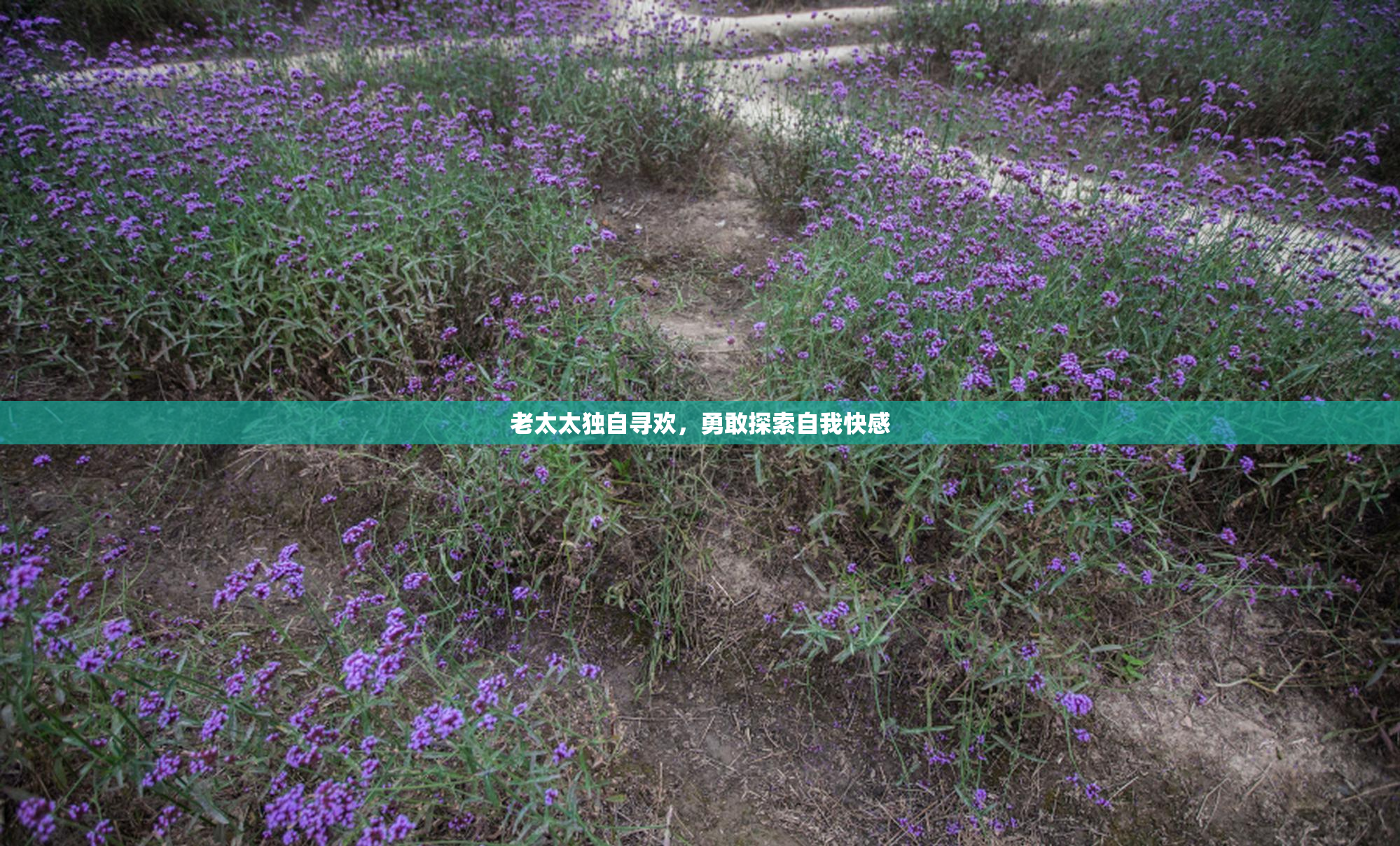 老太太独自寻欢，勇敢探索自我快感