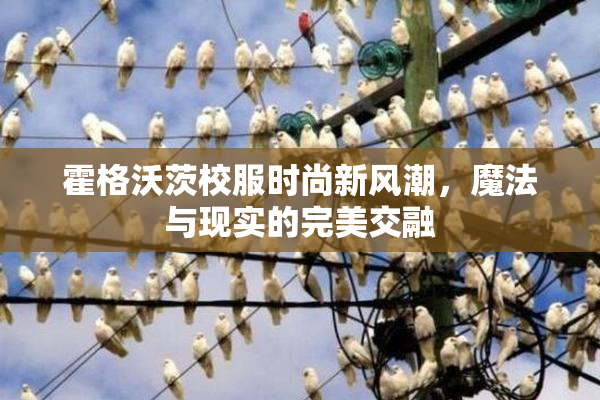 霍格沃茨校服时尚新风潮，魔法与现实的完美交融