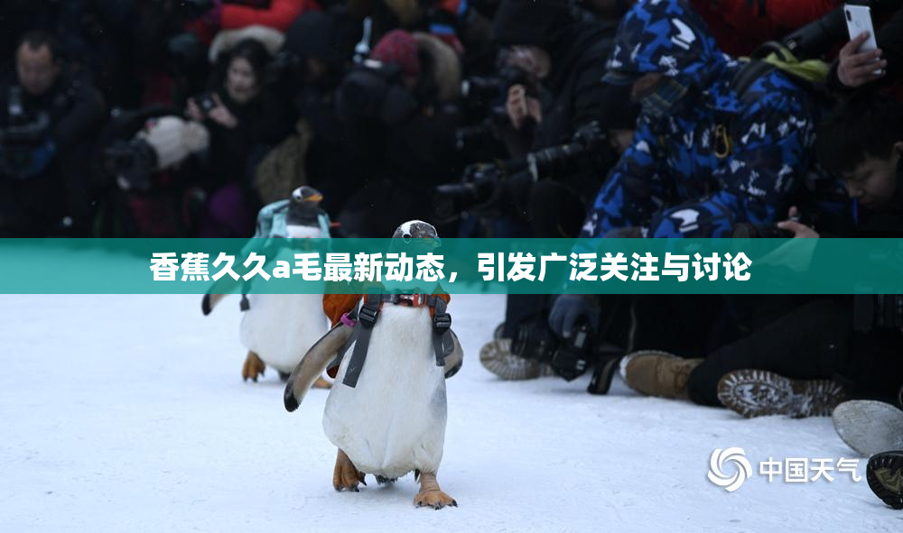香蕉久久a毛最新动态，引发广泛关注与讨论