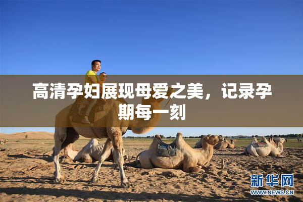高清孕妇展现母爱之美，记录孕期每一刻