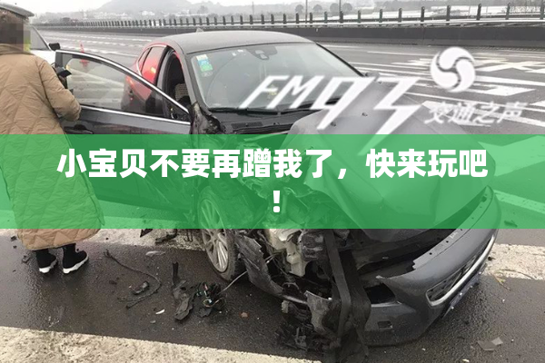 小宝贝不要再蹭我了，快来玩吧！