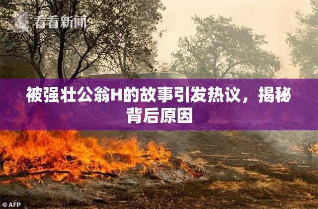 被强壮公翁H的故事引发热议，揭秘背后原因