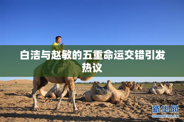 白洁与赵敏的五重命运交错引发热议