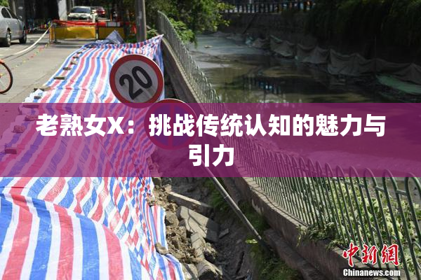 老熟女X：挑战传统认知的魅力与引力