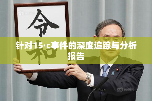 针对15·c事件的深度追踪与分析报告