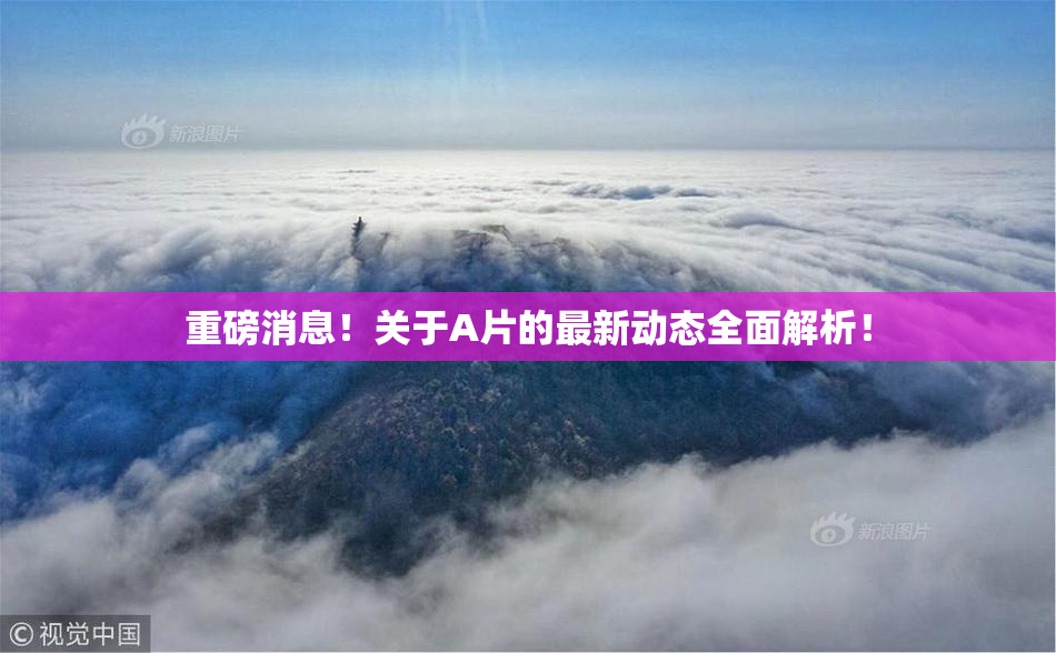重磅消息！关于A片的最新动态全面解析！