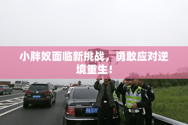 小胖奴面临新挑战，勇敢应对逆境重生！