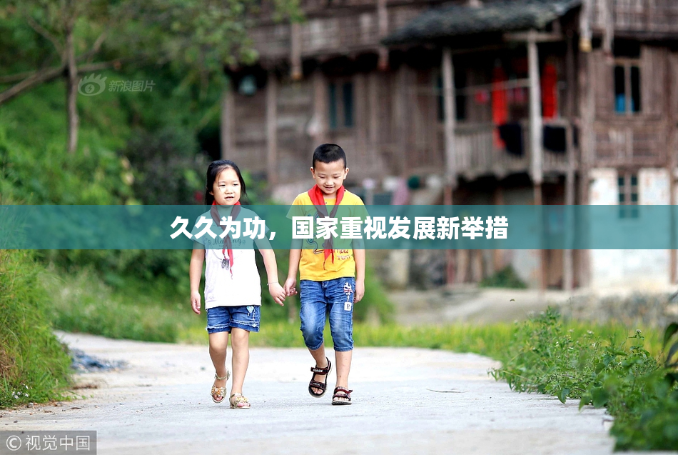 久久为功，国家重视发展新举措