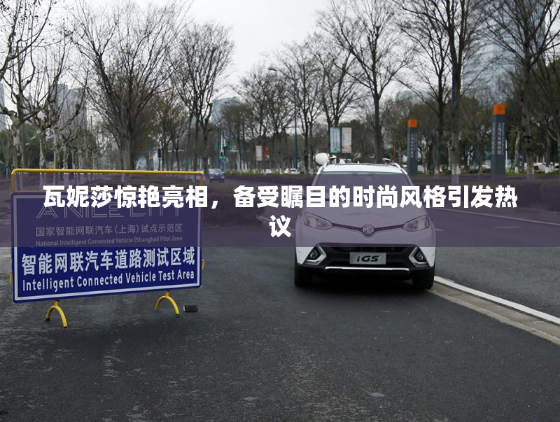 瓦妮莎惊艳亮相，备受瞩目的时尚风格引发热议