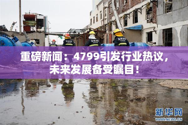 重磅新闻：4799引发行业热议，未来发展备受瞩目！