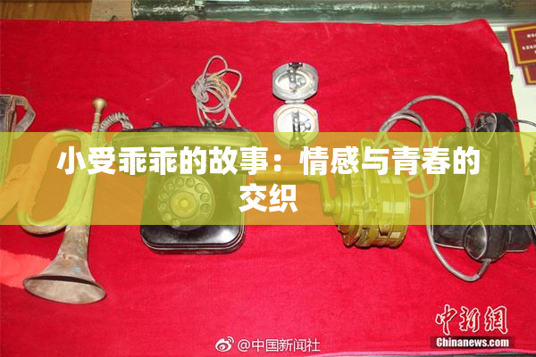 小受乖乖的故事：情感与青春的交织