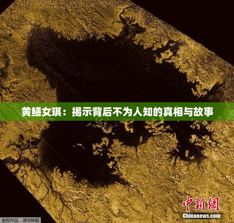 黄鳝女琪：揭示背后不为人知的真相与故事
