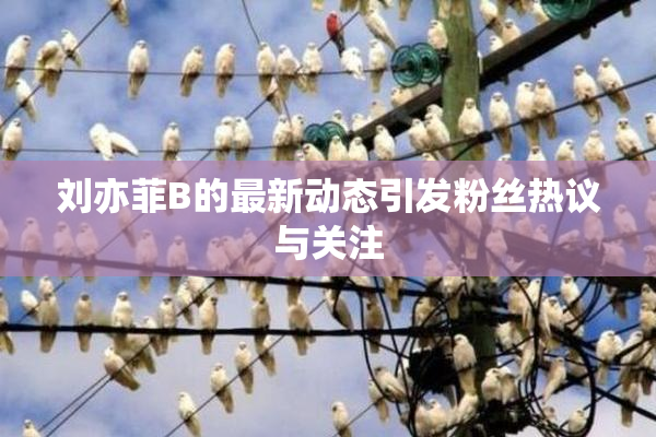 刘亦菲B的最新动态引发粉丝热议与关注