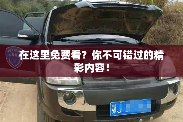 在这里免费看？你不可错过的精彩内容！