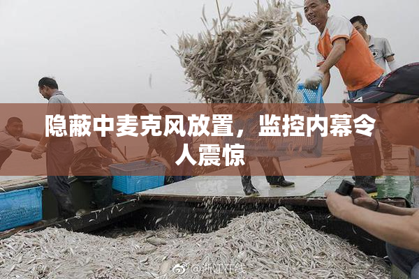隐蔽中麦克风放置，监控内幕令人震惊
