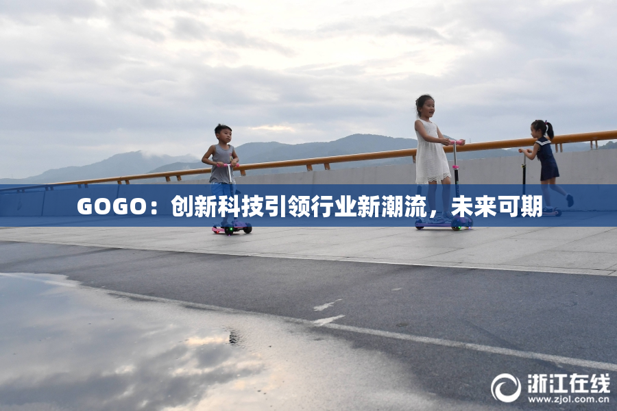 GOGO：创新科技引领行业新潮流，未来可期