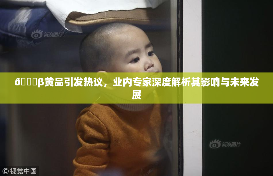 🔞β黄品引发热议，业内专家深度解析其影响与未来发展