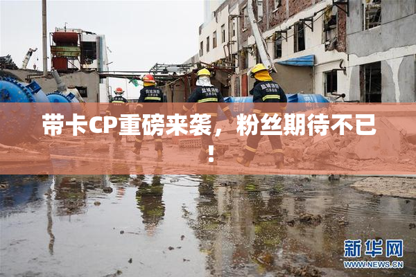 带卡CP重磅来袭，粉丝期待不已！