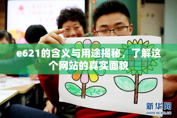 e621的含义与用途揭秘，了解这个网站的真实面貌