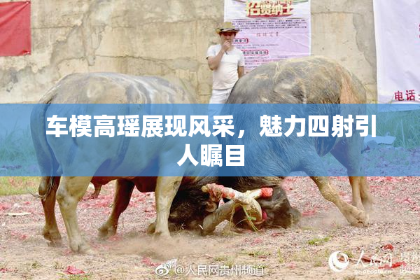 车模高瑶展现风采，魅力四射引人瞩目