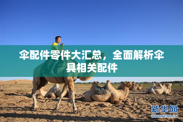 伞配件零件大汇总，全面解析伞具相关配件