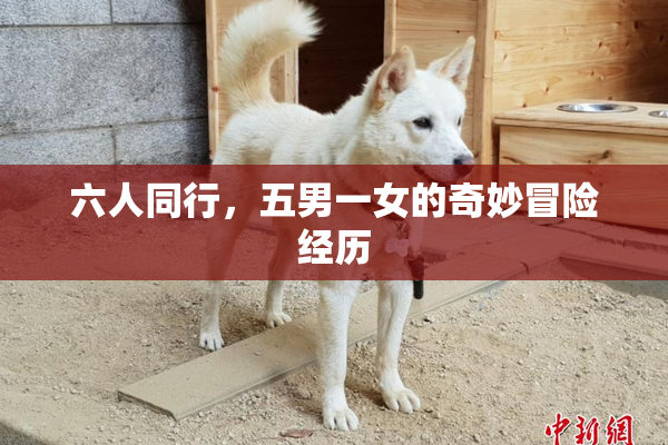 六人同行，五男一女的奇妙冒险经历