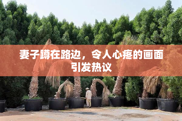 妻子蹲在路边，令人心疼的画面引发热议