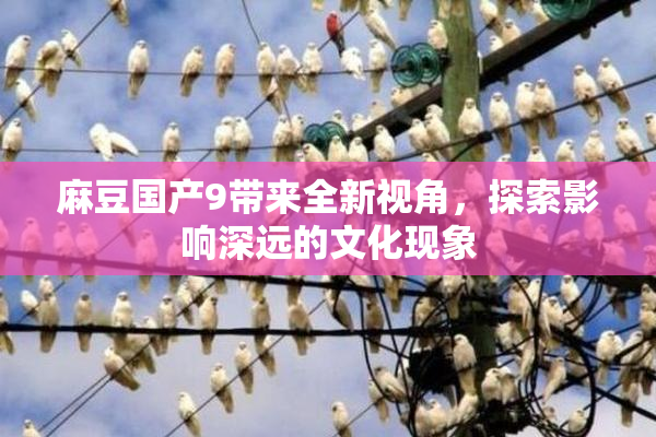 麻豆国产9带来全新视角，探索影响深远的文化现象