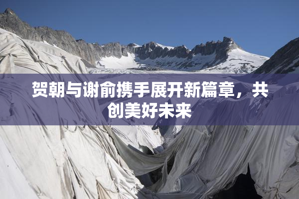 贺朝与谢俞携手展开新篇章，共创美好未来