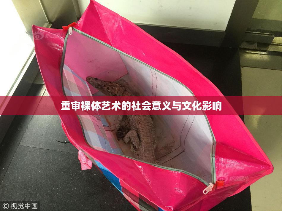 重审裸体艺术的社会意义与文化影响
