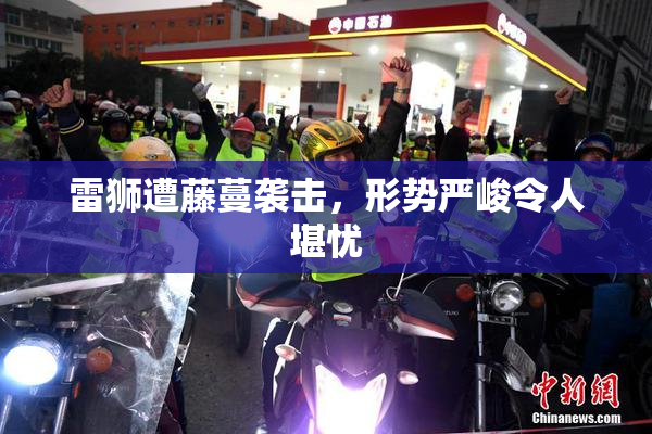 雷狮遭藤蔓袭击，形势严峻令人堪忧