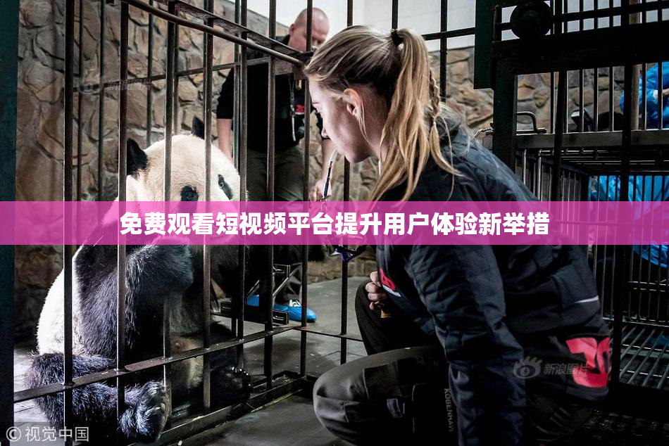 免费观看短视频平台提升用户体验新举措
